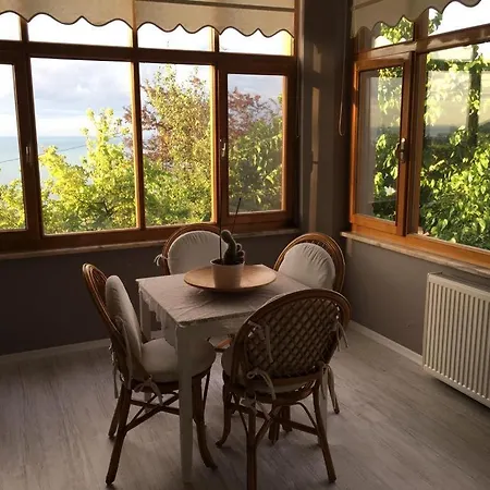 Sertel Trabzon